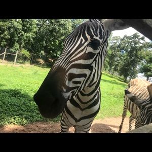 Meet your Posher, Mk